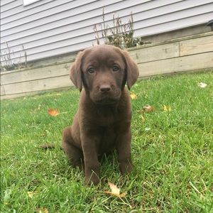 Meet your Posher, Madison